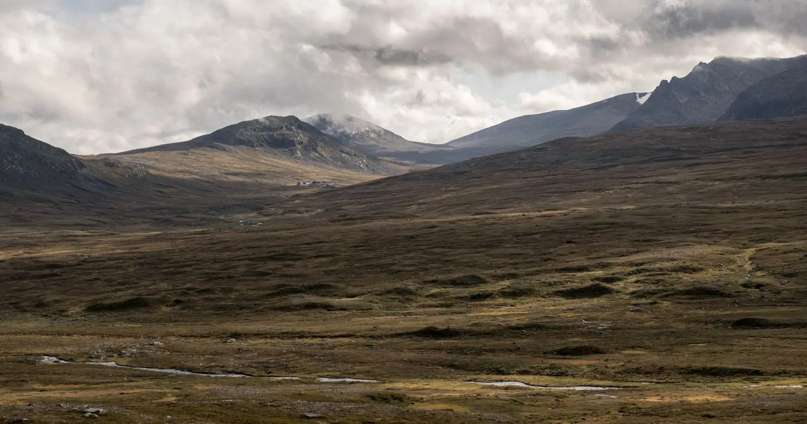 Fjellvidde med lyng og fjelltopper under tunge skyer i Jämtland